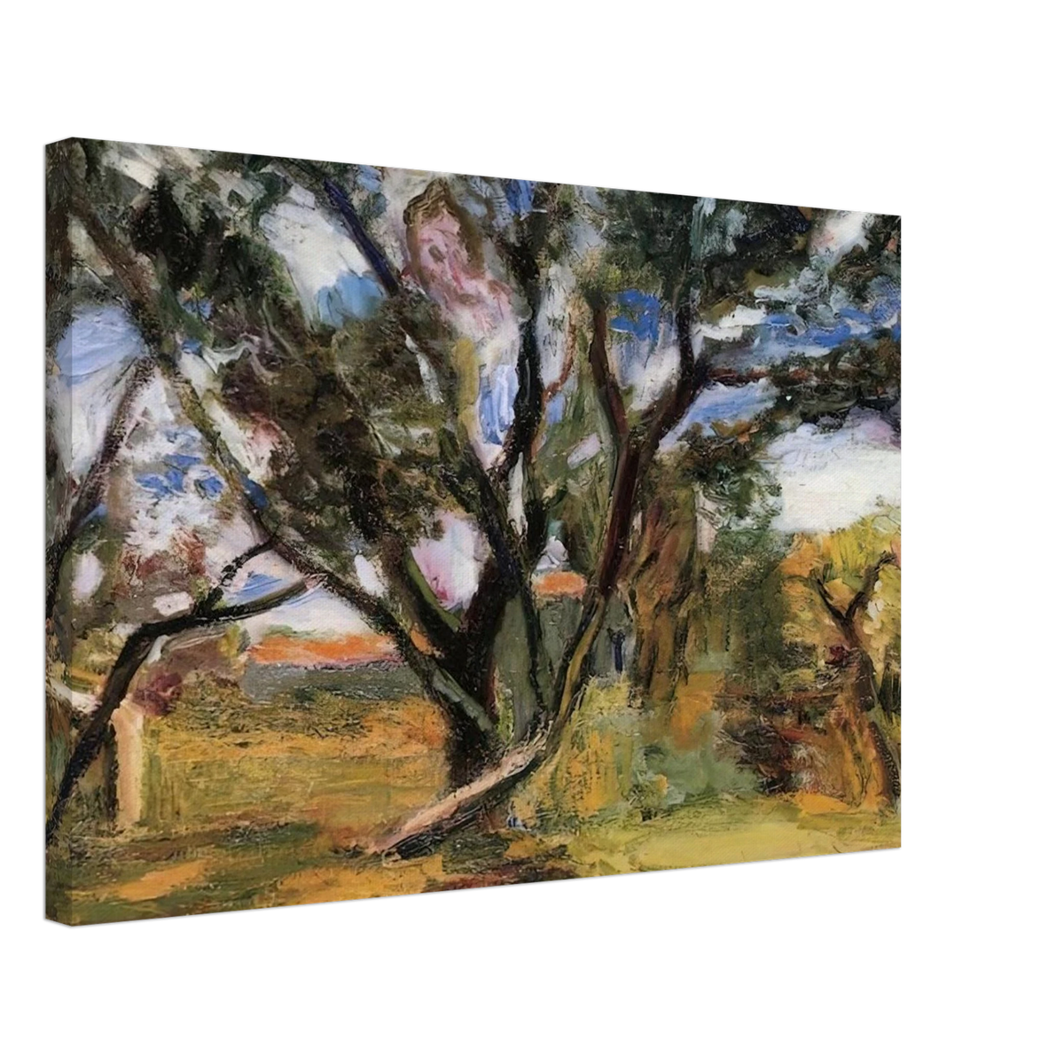 THE OLIVE TREE Canvas | Henri Matisse Canvas | Henri Matisse Print