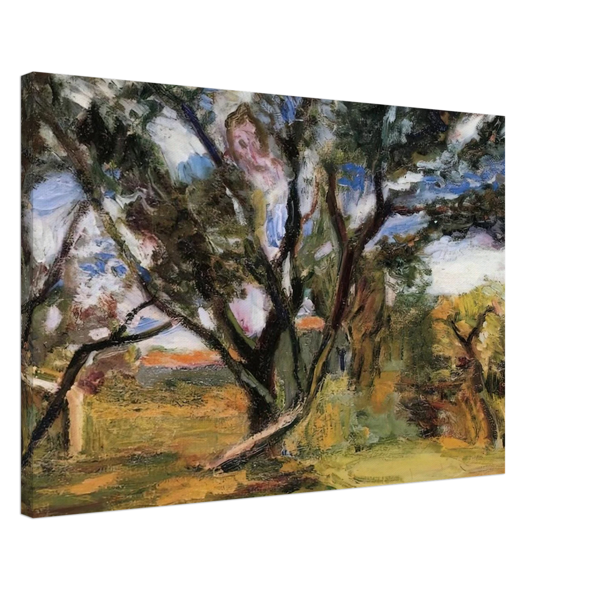 THE OLIVE TREE Canvas | Henri Matisse Canvas | Henri Matisse Print