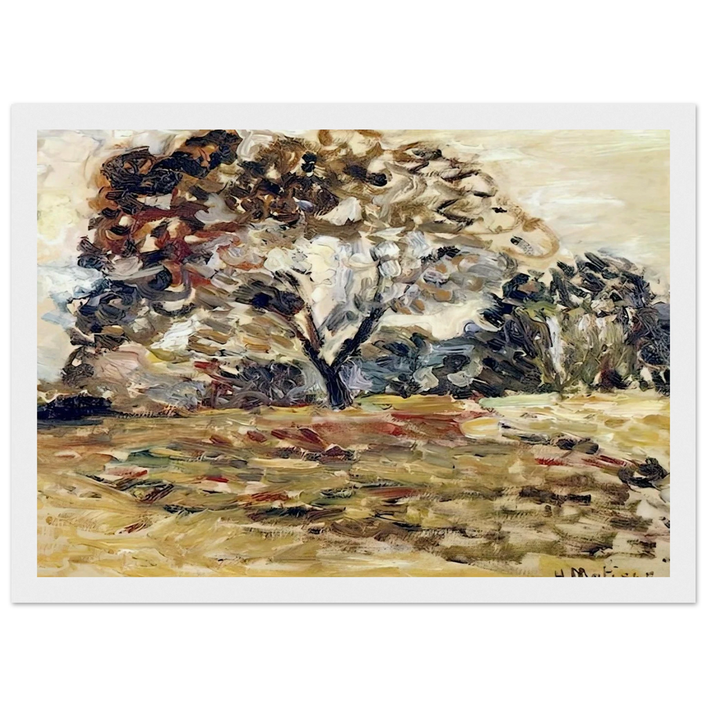 LANDSCAPE OF CORSICA 1898 Framed Poster | Henri Matisse Framed Prints Wall Art | Henri Matisse Print
