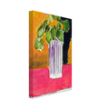 IVY BRANCH 1941 Canvas | Henri Matisse Canvas | Henri Matisse Print