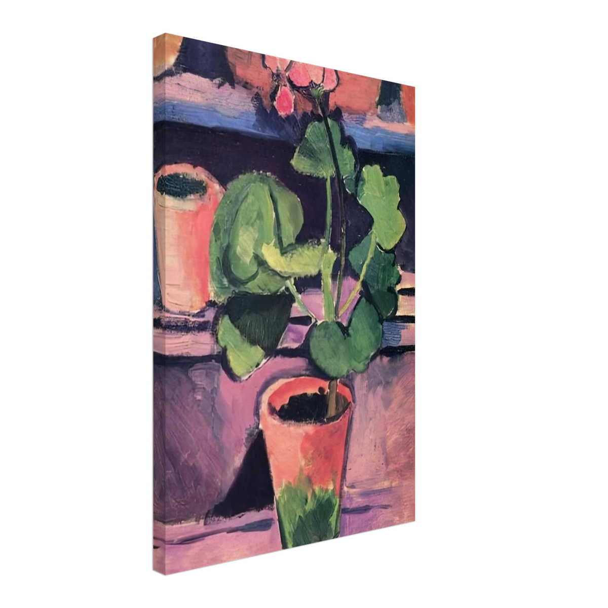 POT OF GERANIUMS 1912 Canvas | Henri Matisse Canvas | Henri Matisse Print