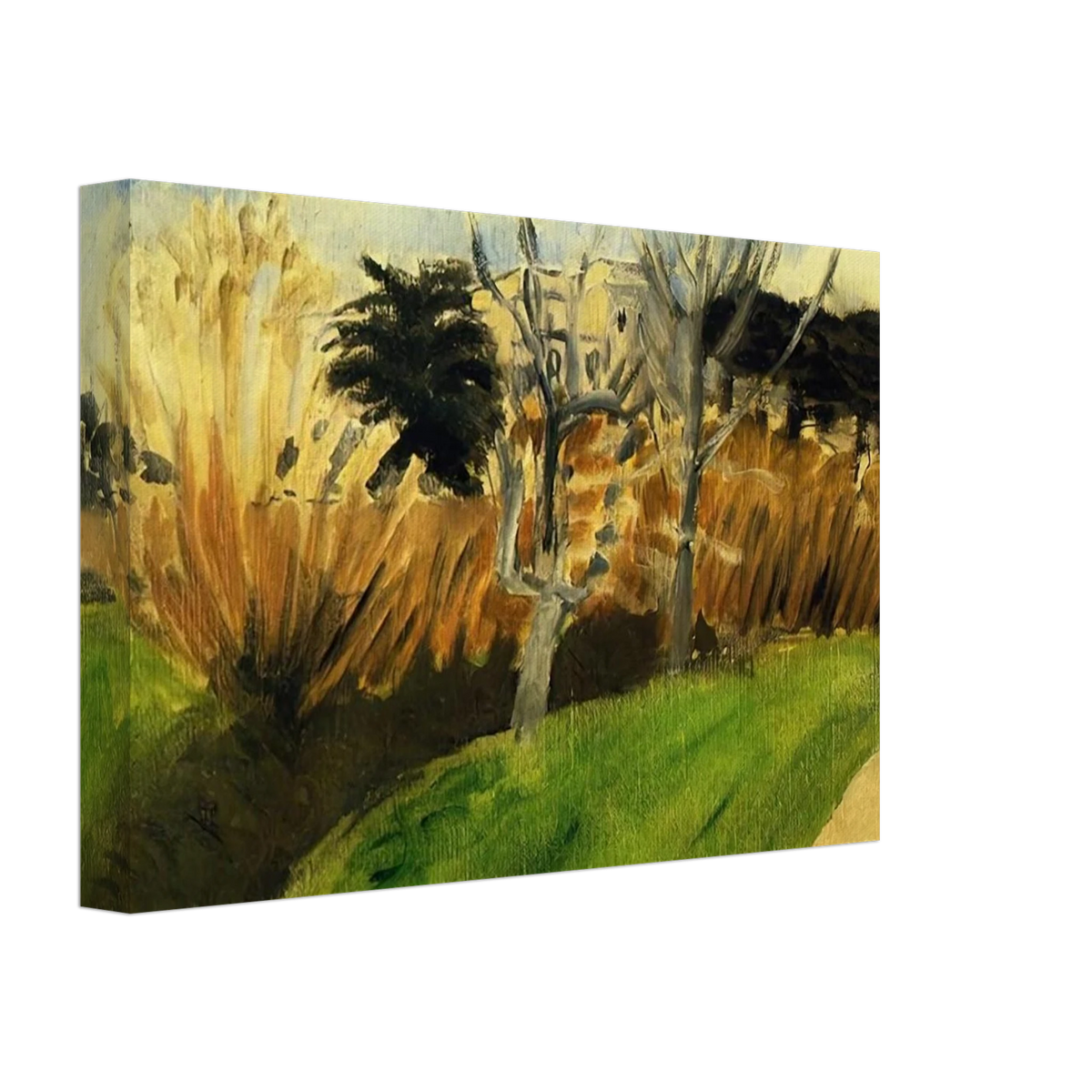 THE STREAM NEAR NICE Canvas | Henri Matisse Canvas | Henri Matisse Print