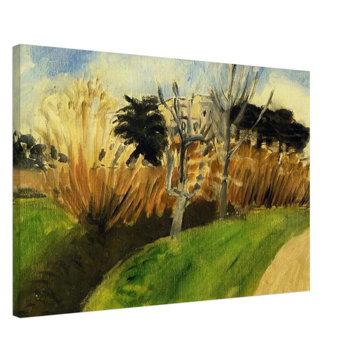 THE STREAM NEAR NICE Canvas | Henri Matisse Canvas | Henri Matisse Print