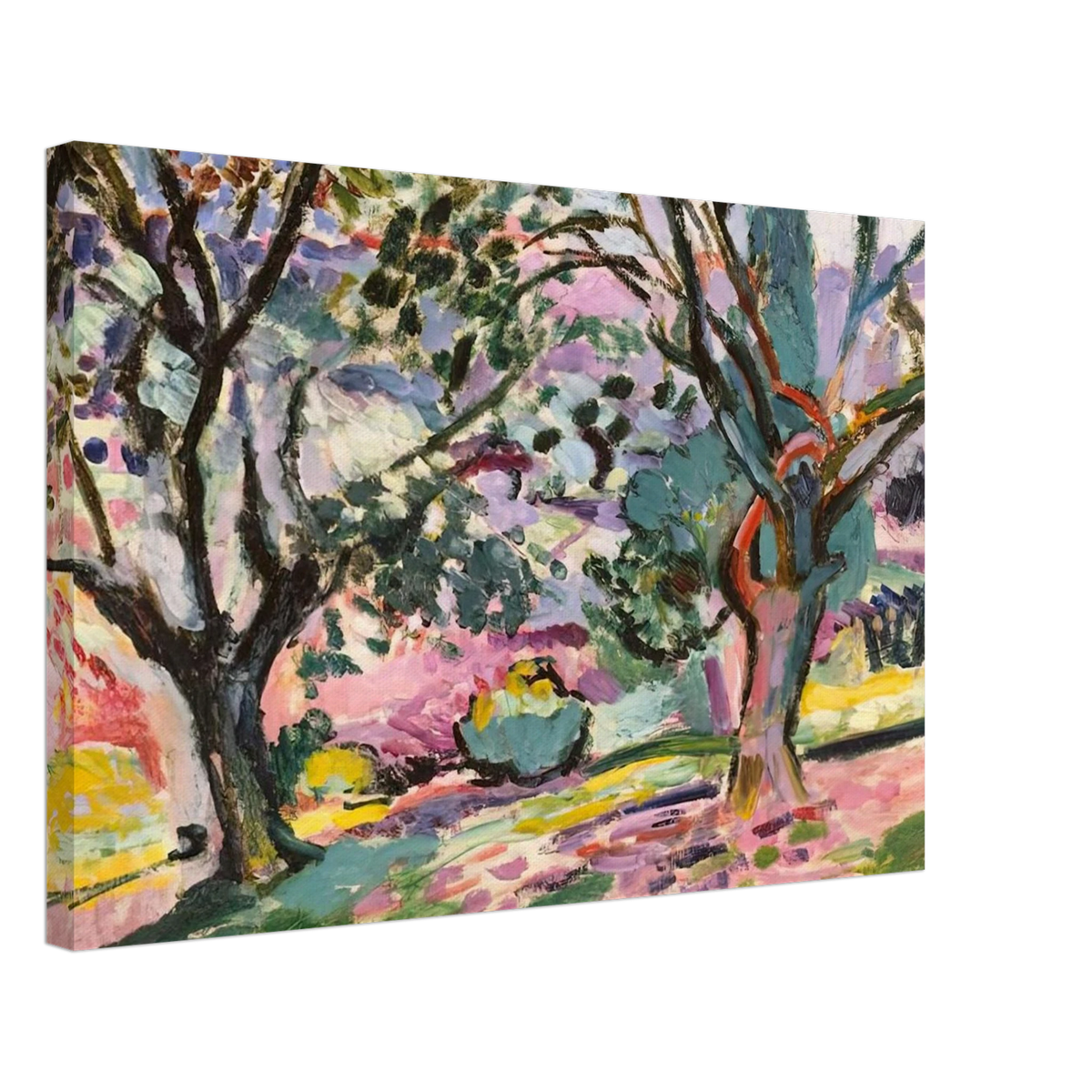 OLIVE TREES AT COLLIOURE 1906 Canvas | Henri Matisse Canvas | Henri Matisse Print