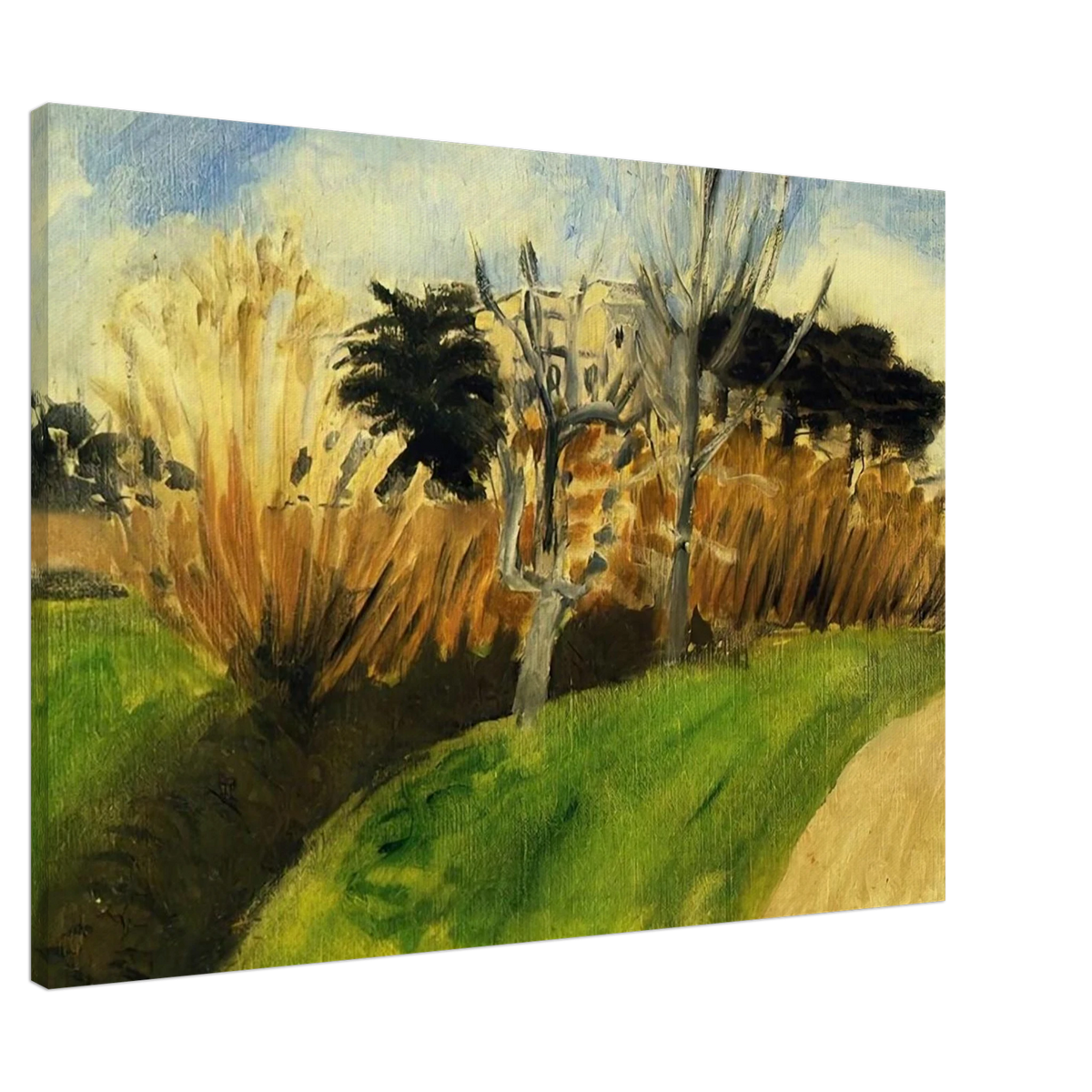THE STREAM NEAR NICE Canvas | Henri Matisse Canvas | Henri Matisse Print