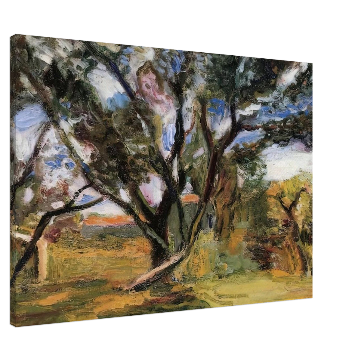 THE OLIVE TREE Canvas | Henri Matisse Canvas | Henri Matisse Print