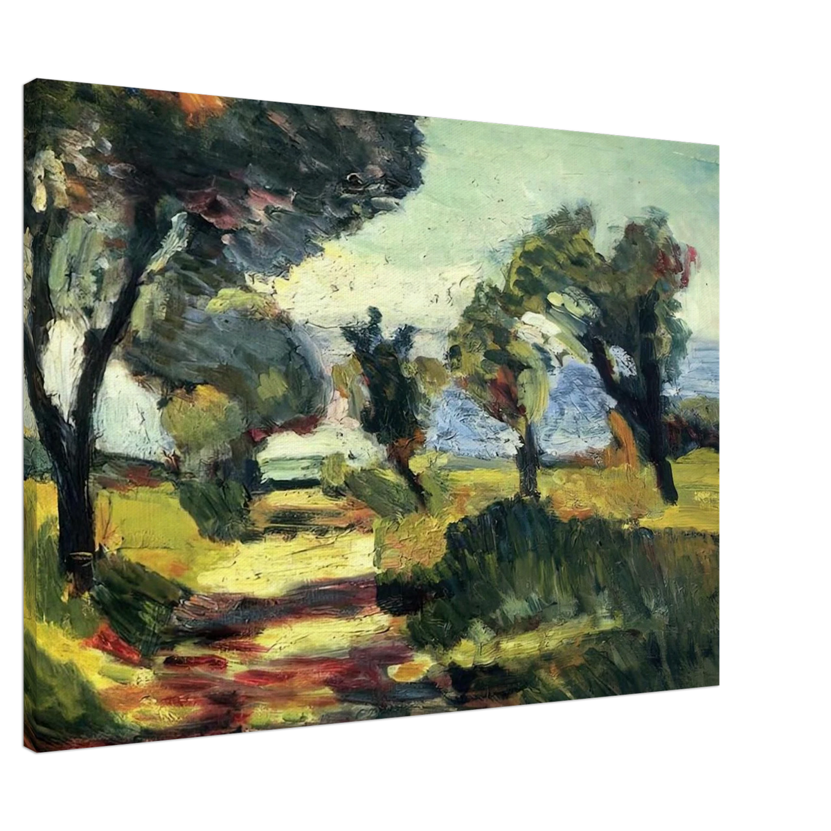 OLIVE TREES 1898 Canvas | Henri Matisse Canvas | Henri Matisse Print