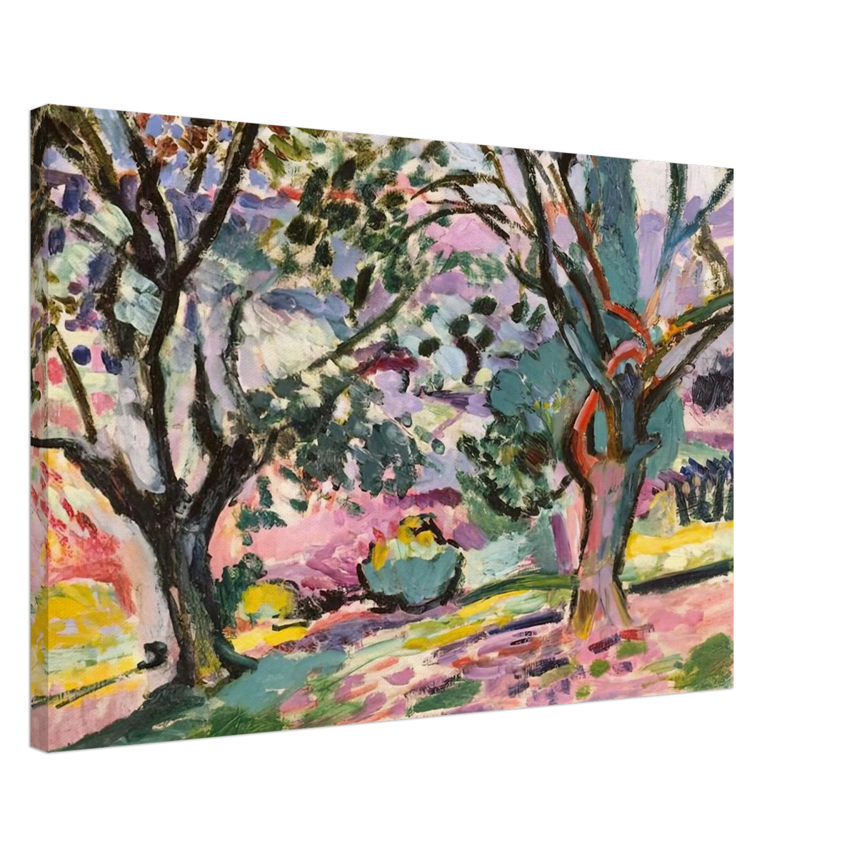 OLIVE TREES AT COLLIOURE 1906 Canvas | Henri Matisse Canvas | Henri Matisse Print