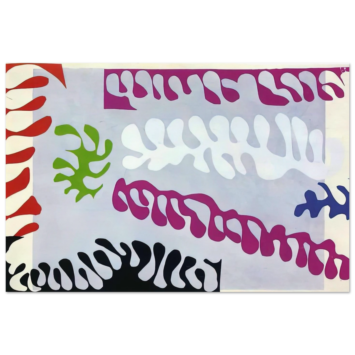 CUT OUTS 1 Poster | Henri Matisse Poster | Henri Matisse Print