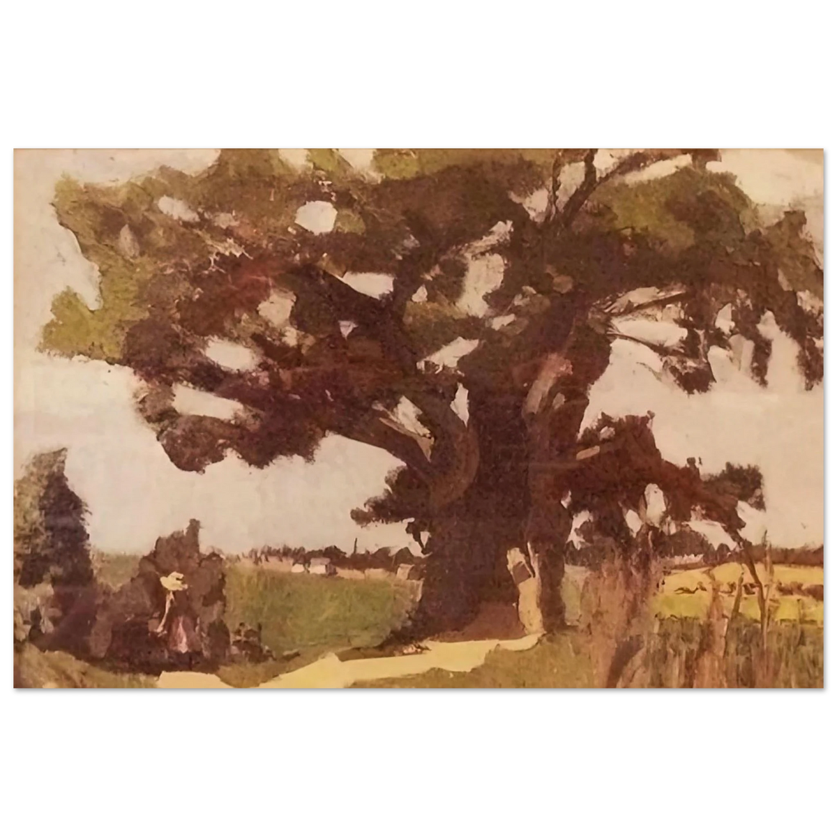BLASTED OAK BOHAIN 1903 Poster | Henri Matisse Poster | Henri Matisse Print