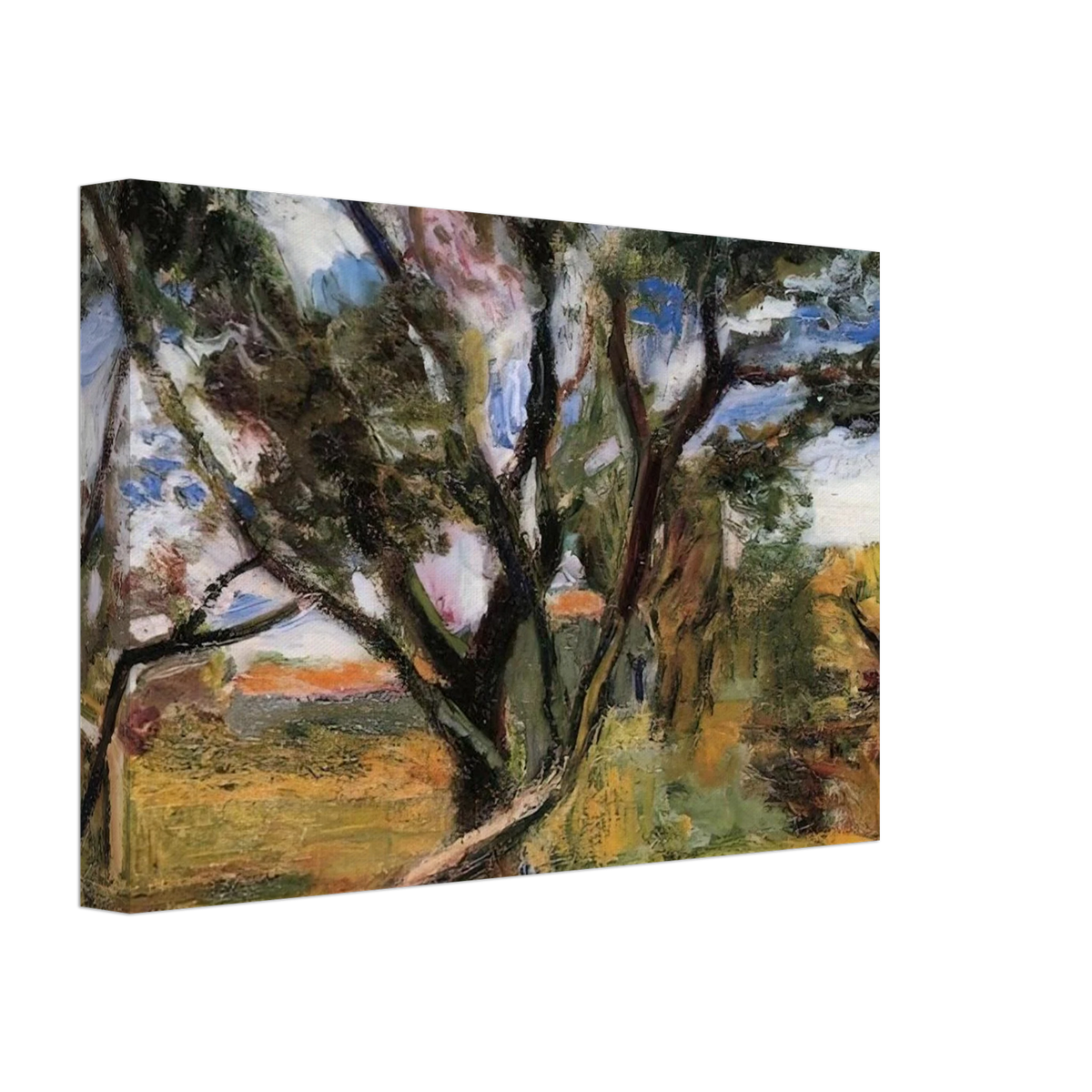 THE OLIVE TREE Canvas | Henri Matisse Canvas | Henri Matisse Print
