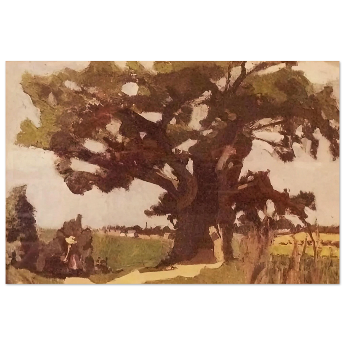 BLASTED OAK BOHAIN 1903 Poster | Henri Matisse Poster | Henri Matisse Print