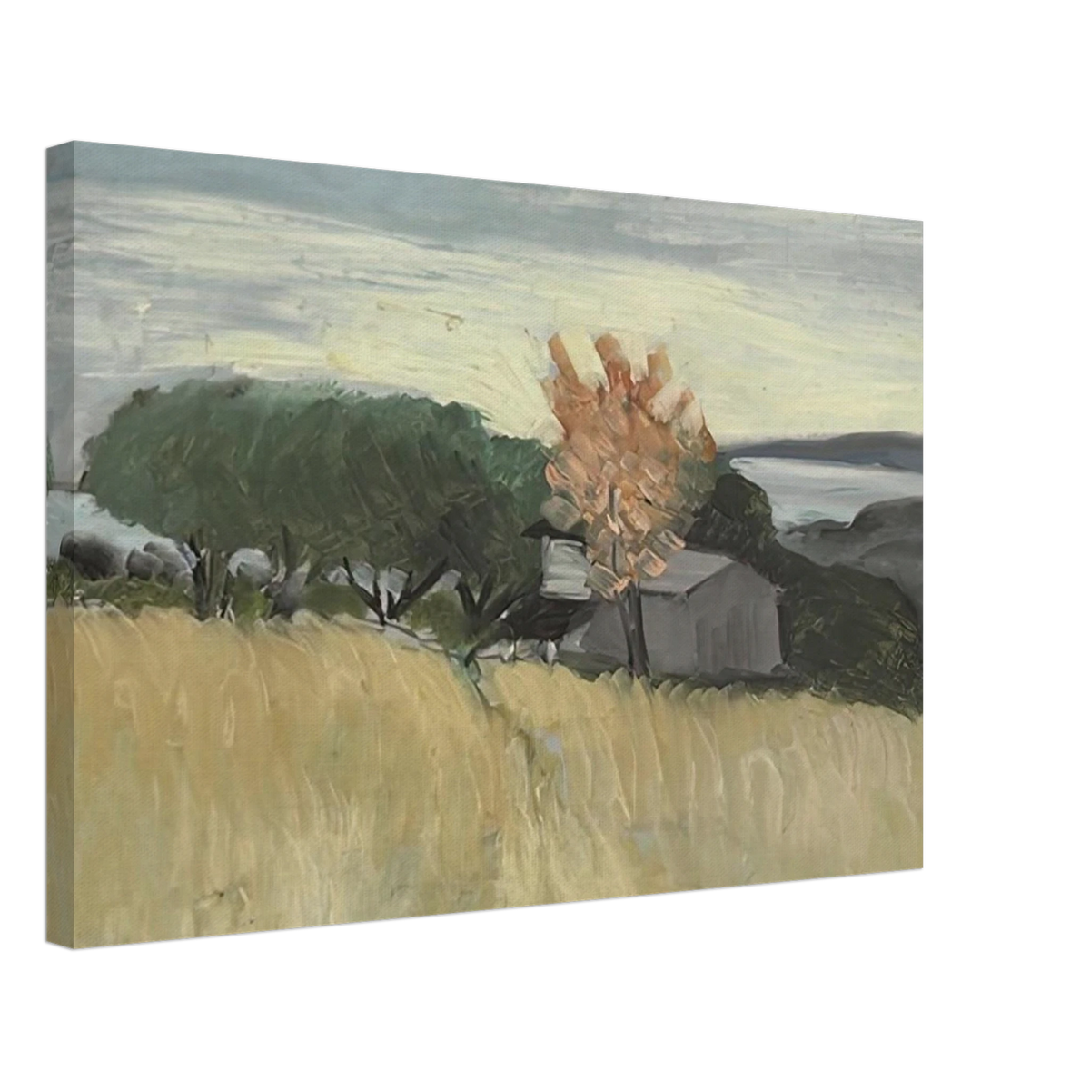 CHAMPS DE BLE A CAGNES 1918 Canvas | Henri Matisse Canvas | Henri Matisse Print