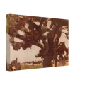 BLASTED OAK BOHAIN 1903 Canvas | Henri Matisse Canvas | Henri Matisse Print