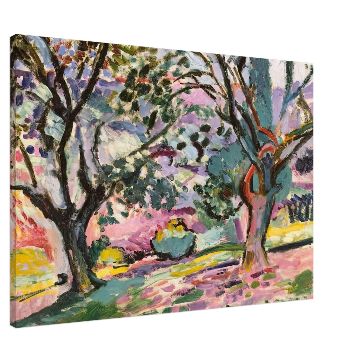 OLIVE TREES AT COLLIOURE 1906 Canvas | Henri Matisse Canvas | Henri Matisse Print