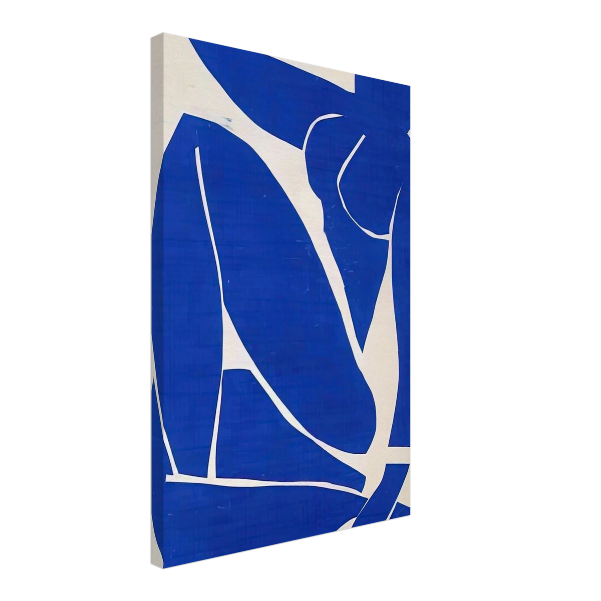 BLUE NUDE Canvas | Henri Matisse Canvas | Henri Matisse Print