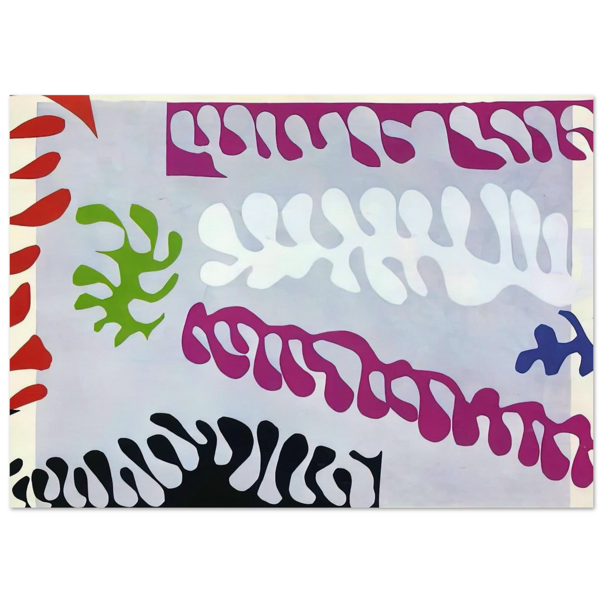 CUT OUTS 1 Poster | Henri Matisse Poster | Henri Matisse Print