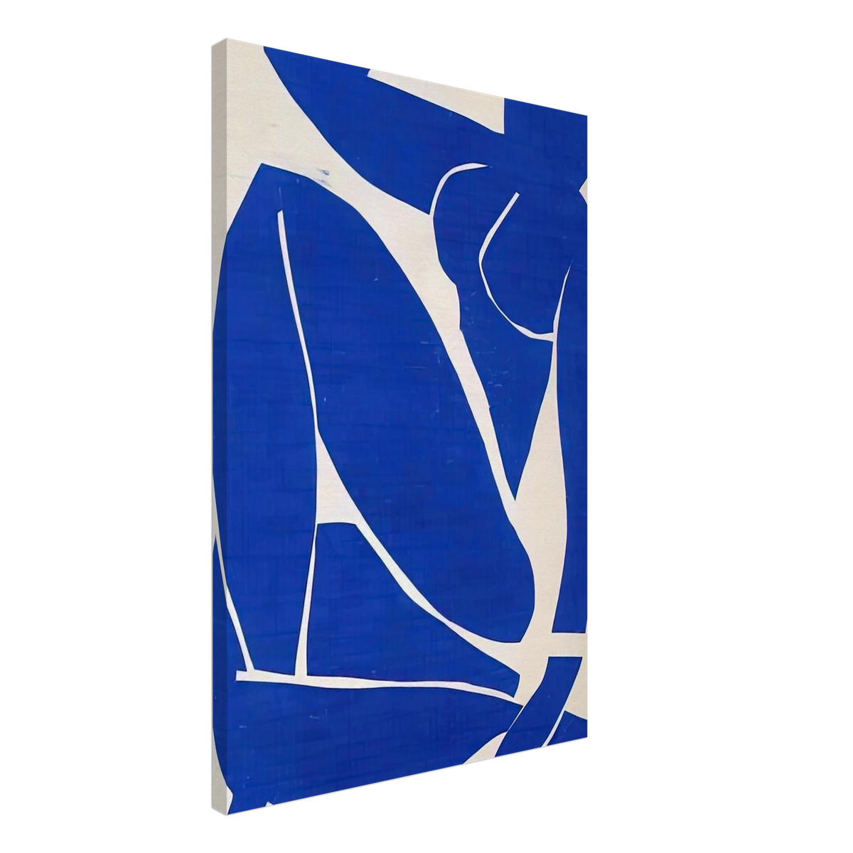 BLUE NUDE Canvas | Henri Matisse Canvas | Henri Matisse Print