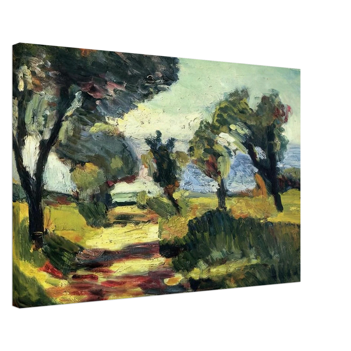 OLIVE TREES 1898 Canvas | Henri Matisse Canvas | Henri Matisse Print