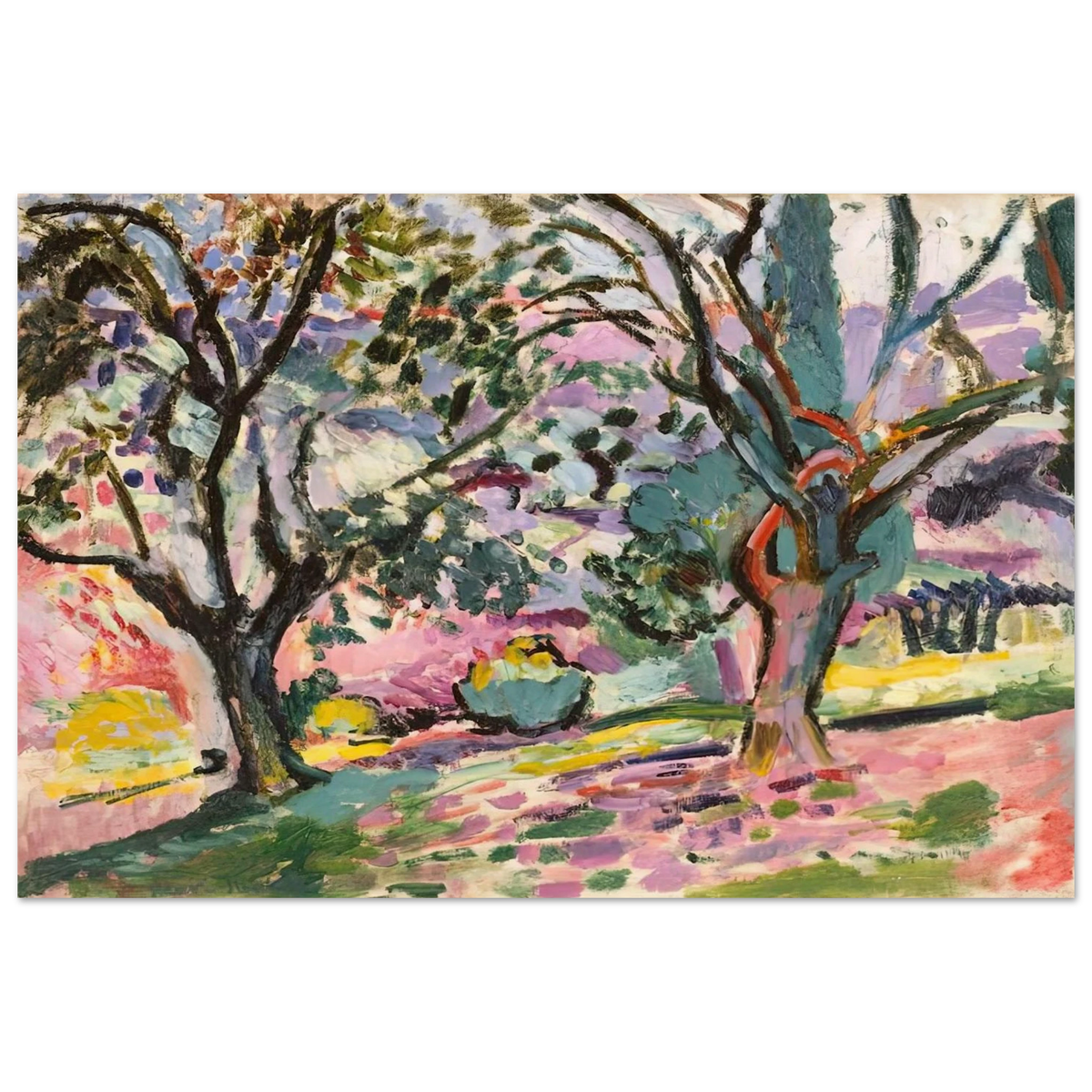 OLIVE TREES AT COLLIOURE 1906 Poster | Henri Matisse Poster | Henri Matisse Print
