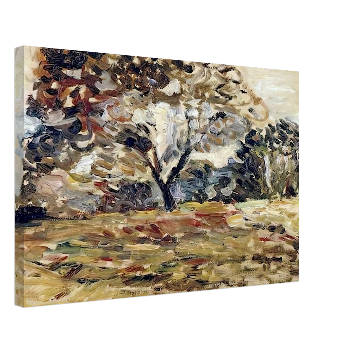 LANDSCAPE OF CORSICA 1898 Canvas | Henri Matisse Canvas | Henri Matisse Print