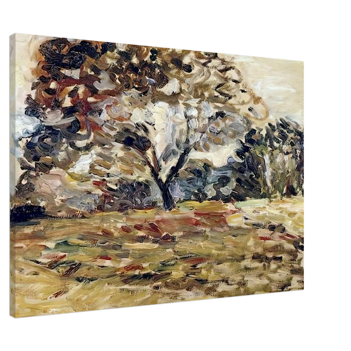 LANDSCAPE OF CORSICA 1898 Canvas | Henri Matisse Canvas | Henri Matisse Print