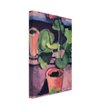 POT OF GERANIUMS 1912 Canvas | Henri Matisse Canvas | Henri Matisse Print