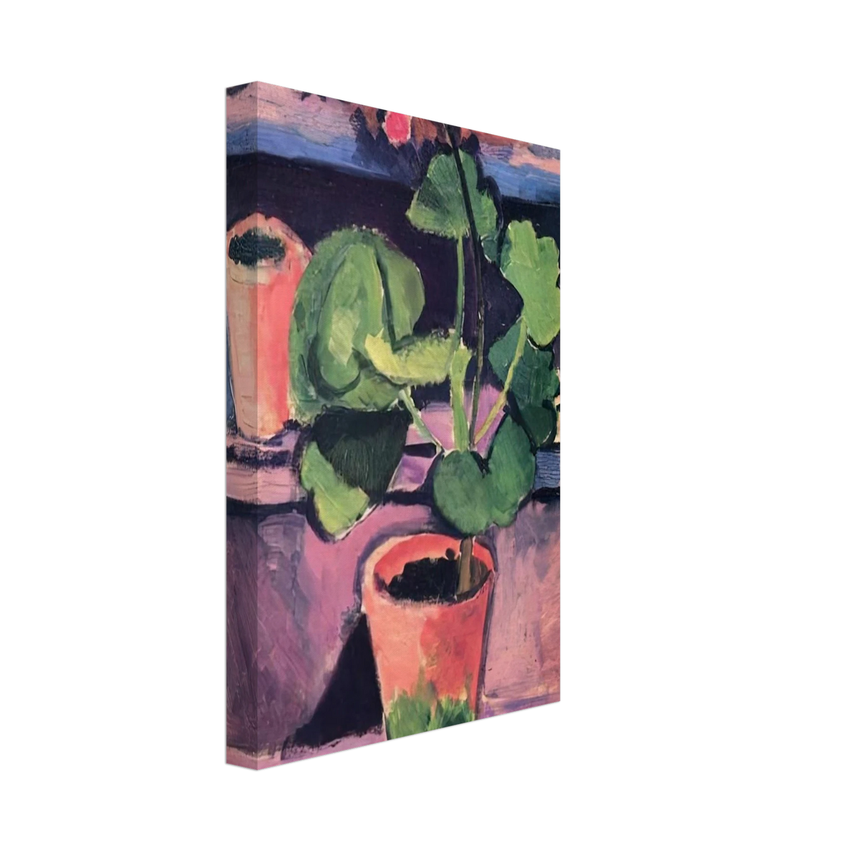 POT OF GERANIUMS 1912 Canvas | Henri Matisse Canvas | Henri Matisse Print