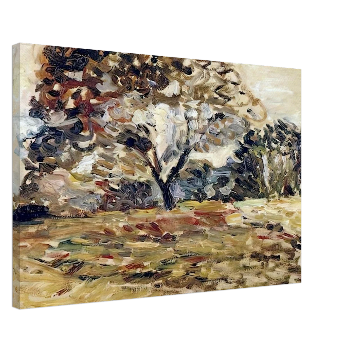 LANDSCAPE OF CORSICA 1898 Canvas | Henri Matisse Canvas | Henri Matisse Print