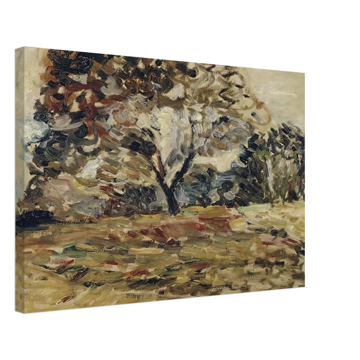 LANDSCAPE OF CORSICA 1 Canvas | Henri Matisse Canvas | Henri Matisse Print